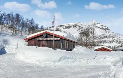 a cabin with a flag on top of a pile of snow at Stunning Home In Tyinkrysset in Tyinkrysset
