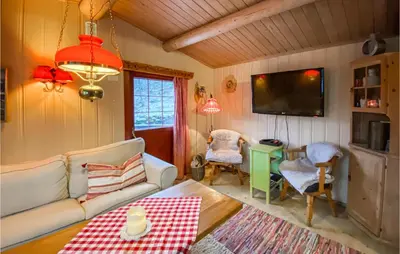 a living room with a couch and a tv at Stunning Home In Tyinkrysset in Tyinkrysset