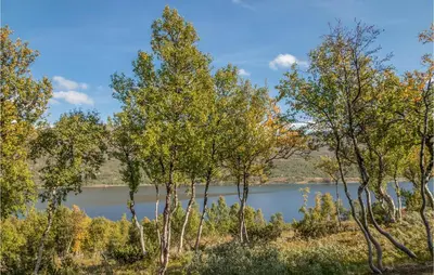 a view of a lake through a group of trees at 3 Bedroom Nice Home In Oppdal in Oppdal