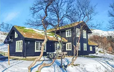 a black house with a grass roof in the snow at 3 Bedroom Nice Home In Oppdal in Oppdal