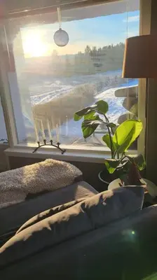 a room with a window with a plant in front of it at Skogro ved Norefjell in Noresund