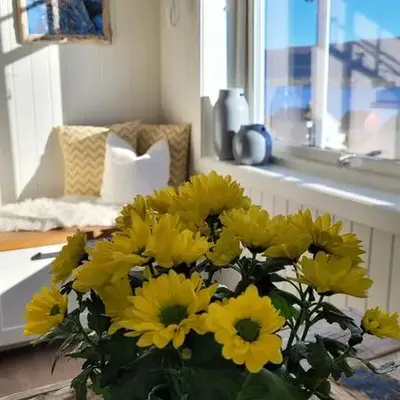 Haramsøy Holiday Apartment- Island Life North