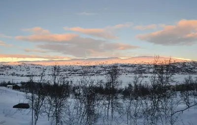 a snow covered field with trees and mountains in the distance at Holiday Home Haugastøl Xxxix in Haugastøl