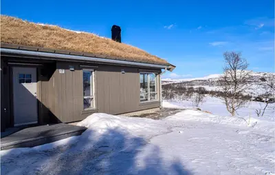 a house with a grass roof in the snow at Awesome Home In Rauland With Kitchen in Rauland