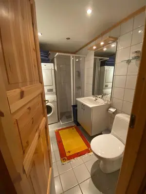 a small bathroom with a toilet and a sink at Apartment City Beitostølen in Beitostøl