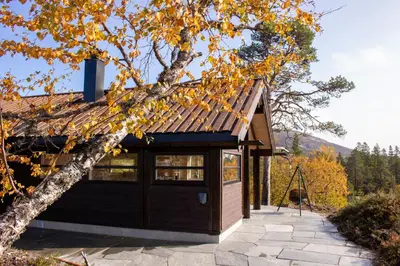 a small cabin with a roof and a tree at Heimstølen - Cabin at Sørbølfjell in Flå