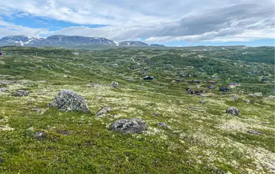 a green field with rocks and mountains in the background at Awesome Home In Ustaoset With Wifi in Ustaoset