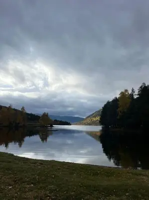 a view of a lake with trees and a cloudy sky at Delikat hytte omgitt av Hallingdals vakre fjell in Ål