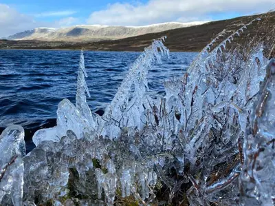 an ice covered plant next to a body of water at Delikat hytte omgitt av Hallingdals vakre fjell in Ål