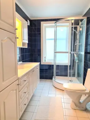 a bathroom with a shower and a toilet and a sink at Fløyen Townhouse in Bergen