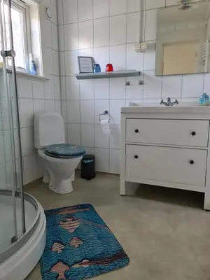 a bathroom with a toilet and a sink at Holiday Apartment in Flatanger in Vik
