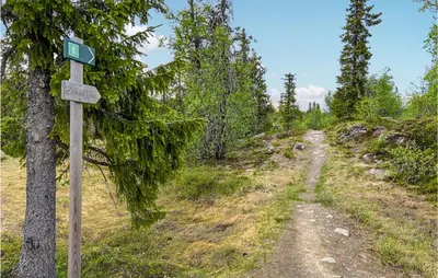 a sign on a dirt road next to a tree at Nice Home In Veggli With Wifi in Veggli