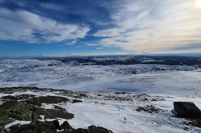 a view of a snow covered mountain with trees at Cozy log cabin at beautiful Nystølsfjellet in Gol