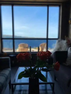 a vase with roses on a table in a living room at Gaustablikk Sportshytte midt i naturen in Rjukan