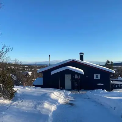 Cabin in the Mountain