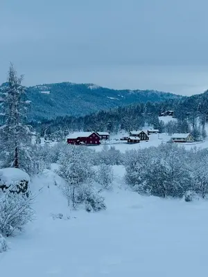 a village covered in snow with houses and trees at Hytte nær Ål in Vass