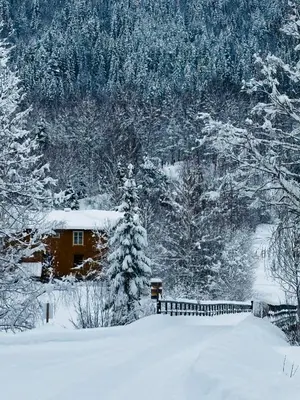 a house covered in snow with a fence and trees at Hytte nær Ål in Vass