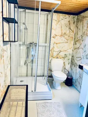 a bathroom with a shower and a toilet at Hytte nær Ål in Vass