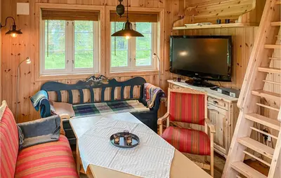 a living room with a couch and a television at Beautiful Home In Sjusjoen in Sjusjøen