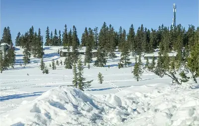 a snowy field with trees and a pile of snow at Beautiful Home In Sjusjoen in Sjusjøen