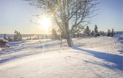 a tree on a snowy hill with the sun in the background at Beautiful Home In Sjusjoen in Sjusjøen