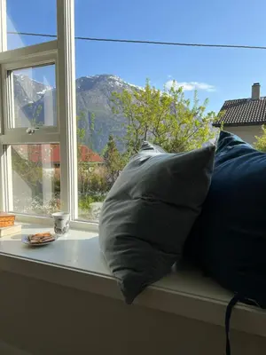 a window sill with two pillows and a plate of food at Cozy house in Eidfjord in Eidfjord