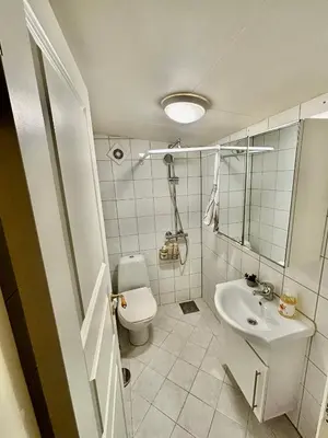 a small bathroom with a toilet and a sink at Litle cozy apartment in Ålesund in Ålesund