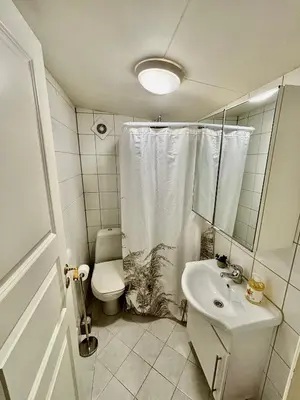 a small bathroom with a toilet and a sink at Litle cozy apartment in Ålesund in Ålesund