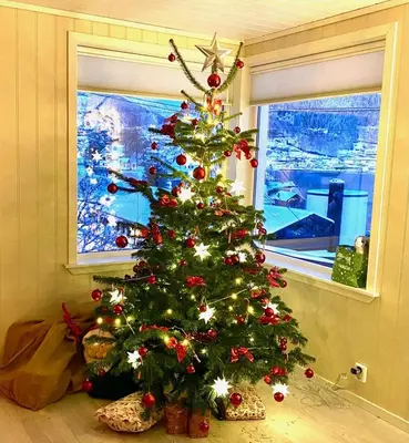 a christmas tree in a room with a window at Hardangerfjord View - luxury fjord-side holiday home in Øystese