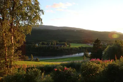 a view of a valley with a river and trees at Gaulabua - cozy cabin by the river Gaula in Haltdalen