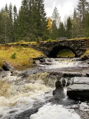 a stone bridge over a river with rapids at Ådalsvollen Retreat in Verdal