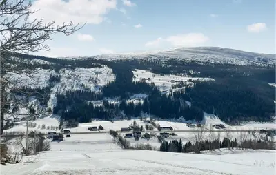 a snow covered mountain with trees and a ski slope at Stunning Home In Ålen in Ålen