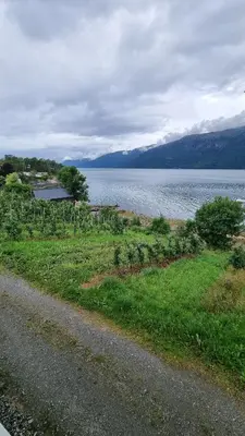 a road next to a body of water at Leilighet v Hardangerfjorden in Hesthamar