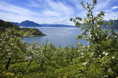 a view of a body of water with trees and flowers at Spacious house by the Hardangerfjord in Hesthamar